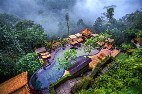 Forest resort - El Nido del Cóndor – Turismo, Alojamiento, Glamping, Avistamiento de Aves. UN LUGAR PARA SOÑAR CON LAS ESTRELLAS Disfruta de nuestras noches bajo las.